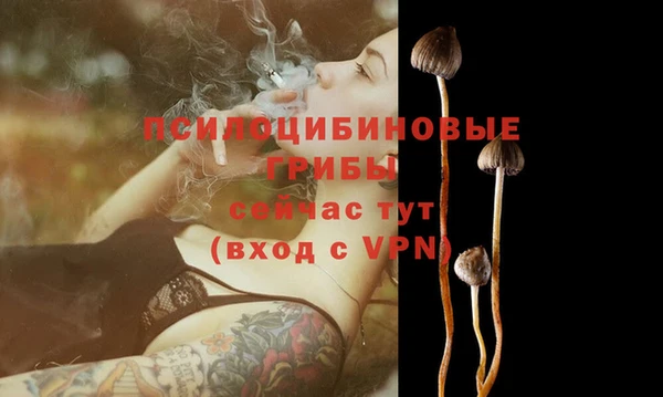 jwh Абаза